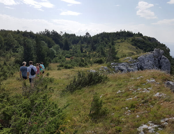 Hiking on the meadow in the Vipava Valley, Slovenia